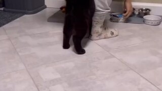 什么在阻止我恰饭？