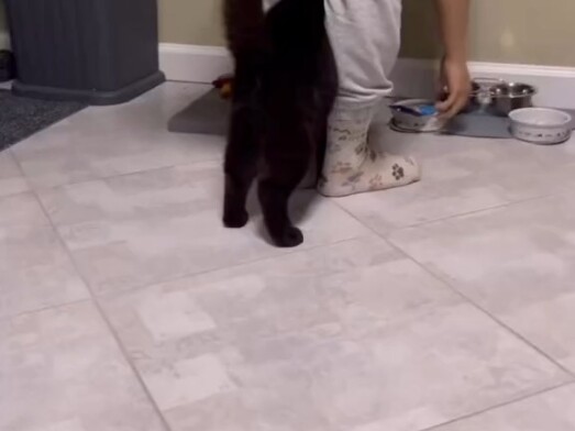 อะไรกำลังขัดขวางไม่ให้ฉันหาเงิน?