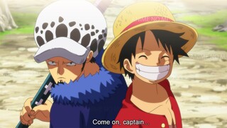 Law Asks to Join Luffy's Crew to Face Teach Again - One Piece