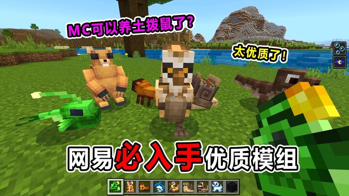 โมดคุณภาพสูงจาก NetEase ที่ต้องมี! ทำได้ทั้งเลี้ยงสัตว์ใน Minecraft และให้มันโจมตีศัตรูเลยเหรอ? มันเ