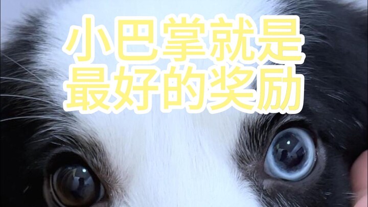 Youzi: Good things are meant to be shared!