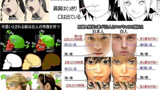 亚洲人（黄种人）和欧美人（白种人）的区别