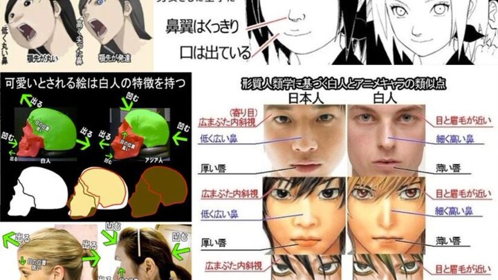 亚洲人（黄种人）和欧美人（白种人）的区别