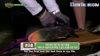 Law of the Jungle Episode 245 Eng Sub #cttro