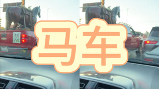 真·马车-这人到底是有多爱马啊😂