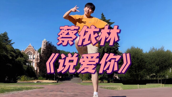《说爱你》是不火了吗？怎么都没人跳蔡依林原版的舞蹈…MV里看不清的舞步终于被我考古补全了，趁着夏日一起跳起来吧～千禧年的编舞总让人怀念20年前活力满满的华语乐坛