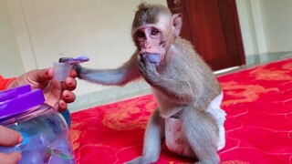 Snack Time!! Little adorable Toto so happy to eat jelly cake with Mom