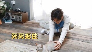 Cách vuốt mèo độc đáo của Vương Nhất Bác, chắc chắn bạn chưa từng thấy đâu, hahaha