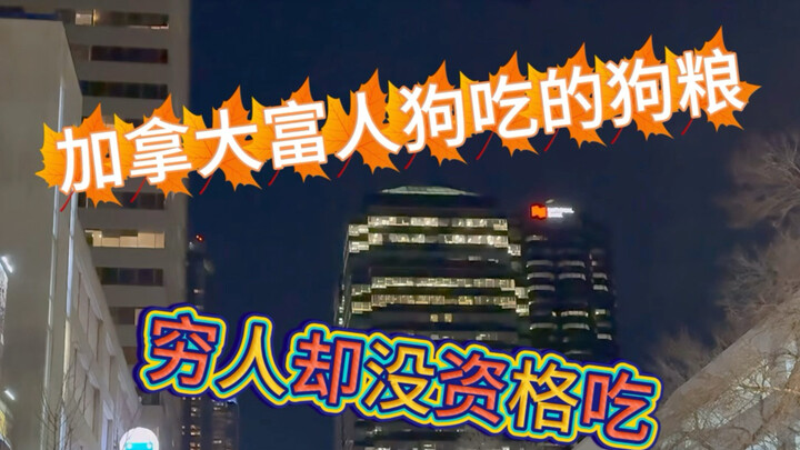 لا تستخف بكلاب الأثرياء الكنديين؛ فما تأكله هذه الكلاب قد لا تكون أنت حتى جرّبته، فما بالك بالفقراء!