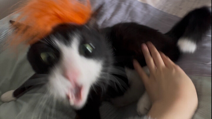 Đợi đại vương của ta đến là các ngươi chết chắc!