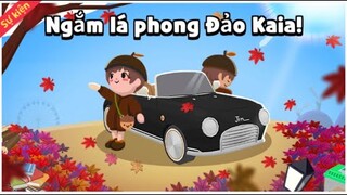 Play Together Hướng dẫn làm tất cả nhiệm vụ trong phiên bản 1.48