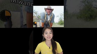 EXPERIMEN DI GIGIT RIBUAN SEMUT ?!
