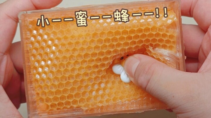 一只小蜜蜂准备摸鱼，这是它房子发生的变化