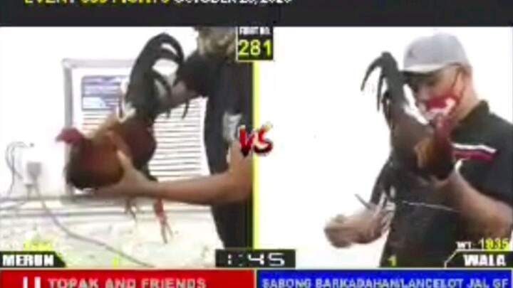 versus idol handler boljack