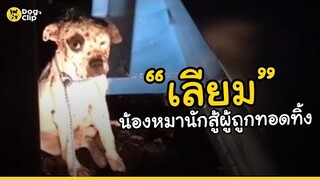 "เลียม" น้องหมานักสู้ผู้ถูกทอดทิ้ง | Dog's Clip