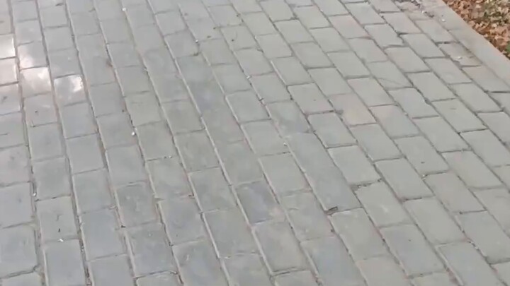 การโจมตีทั้งห้าของ A-SOUL นั้นทนไม่ได้สำหรับคนธรรมดาทั่วไป