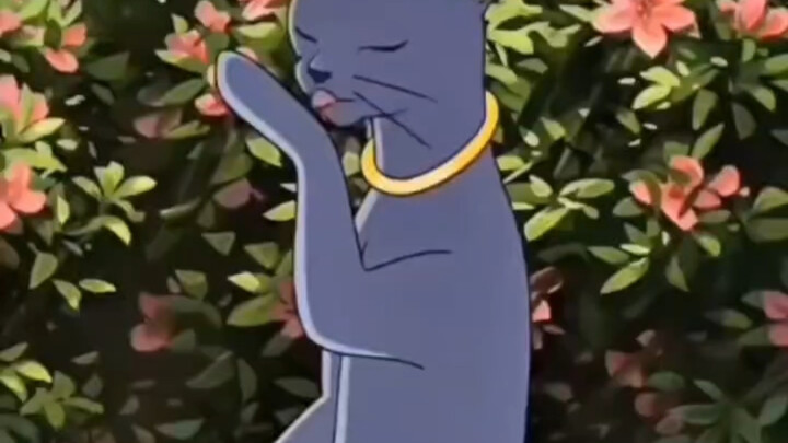 Guess why you're seeing this video