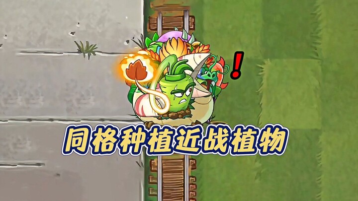 Plant multiple melee plants in the same row and take on zombies ranging from easy to tough!