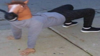 Perfectly Cut Screams 63