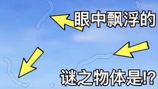 【日配】在视线中漂浮的物体到底是？【费米研究所】