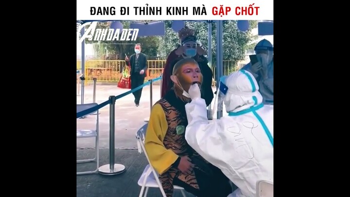 Đang Đi Thỉnh Kinh Thì Gặp Chốt