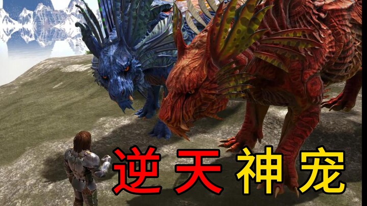 อาร์กไวกิ้ง 3: นี่คือแมวสัตว์เลี้ยงที่ล้ำหน้าที่สุดในศตวรรษที่ 21!