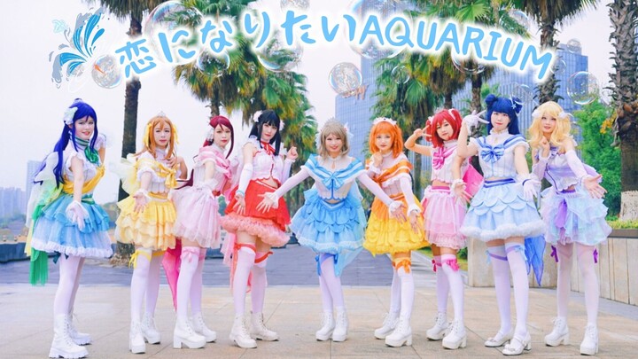 [Love Live! 】【Aqours】🐬恋になりたいAQUARIUM/Love Aquarium🐬I want to bravely say to you: I love you~