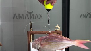 ติดอุปกรณ์ไฟฟ้าเข้ากับปลาตาย ล่อแบบนี้ใครจะไม่ติดเบ็ดได้ล่ะ?