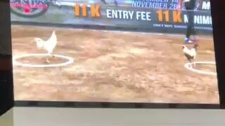 matira matibay talaga .ganda ng laban .fusegamefarm