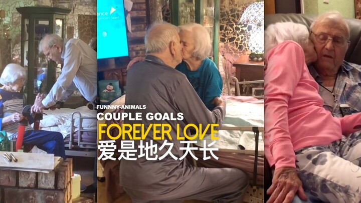 Họ là phiên bản đời thực của “Nhật Ký Tình Yêu”