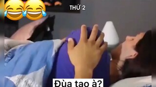 Cho 5p 😆