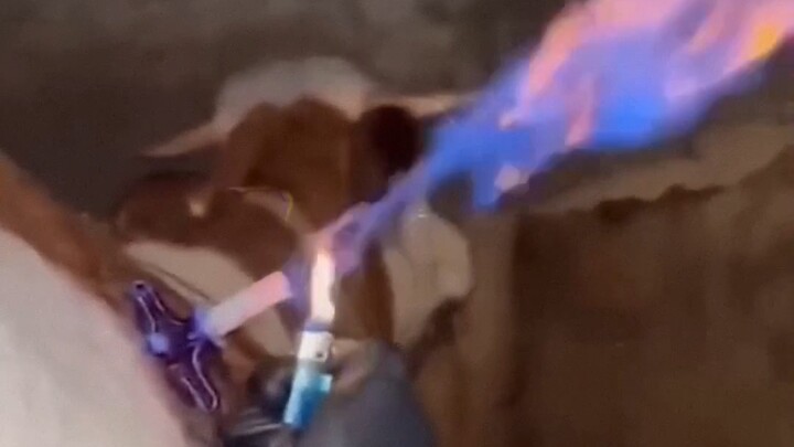 “ความยิ่งใหญ่ที่แท้จริง”