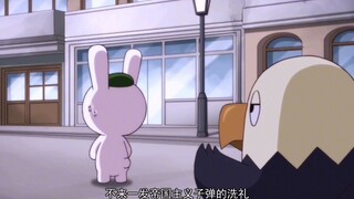 盘点：鹰酱造谣名场面：兔子去别人家里上厕所从来不洗手？！