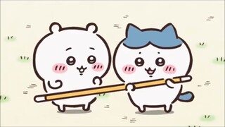 白天在外面是金箍棒，晚上在家里是...【老登卡哇】