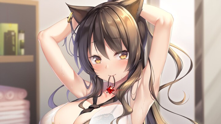 Arknights: Who Would Make the Best Wife [Mage Edition]