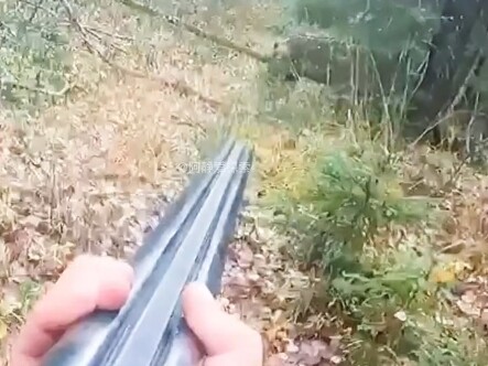 [A Jing Loves Exploring] just uploaded a new video—come check it out!