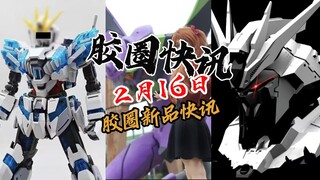 【2月16日胶圈快讯】