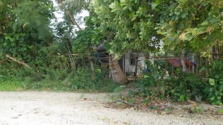 我喜欢独处～一个人去吃饭，一个人听音乐，一个人看风景，一个人逛菜市场。走走停停…本质上是不想迎合任何人，让行动自由，更是让思想自由。