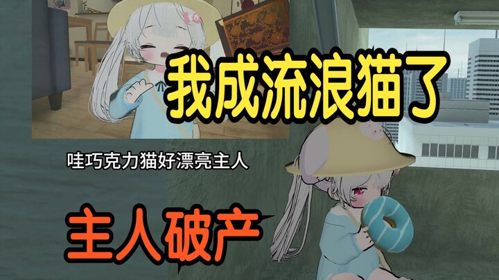 น้องแมวถูกเจ้าของทิ้งจนกลายเป็นแมวจรจัดไปแล้ว..