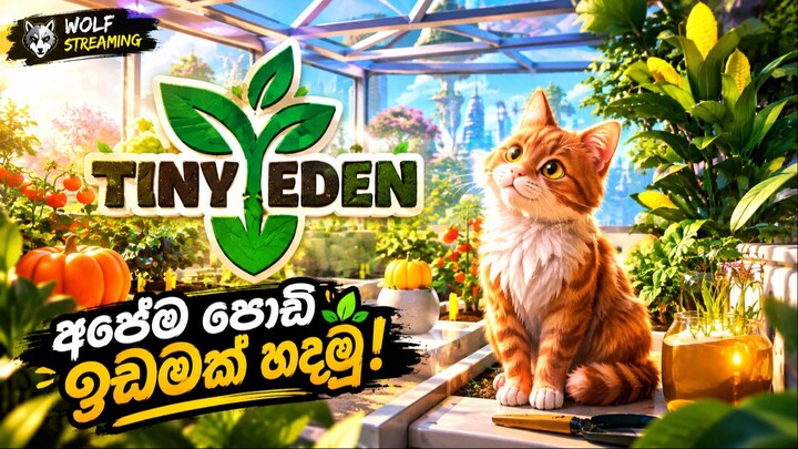🌱 I Built My Own Tiny Paradise! 😍 | TINY EDEN Gameplay