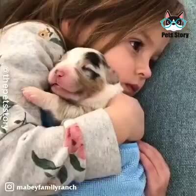 When tiny kittens and puppies meet their little owners, their adorable reactions warm your heart.