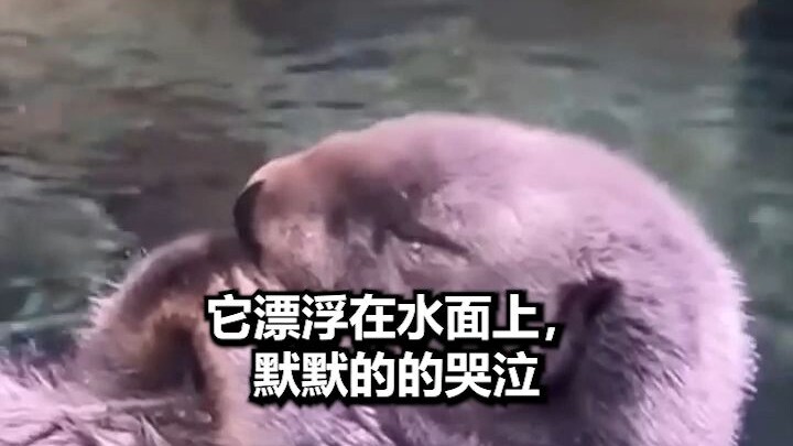 هذا القضّاع يعاني من الاكتئاب...