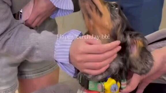 happy birthday to The queen Becky Armstrong