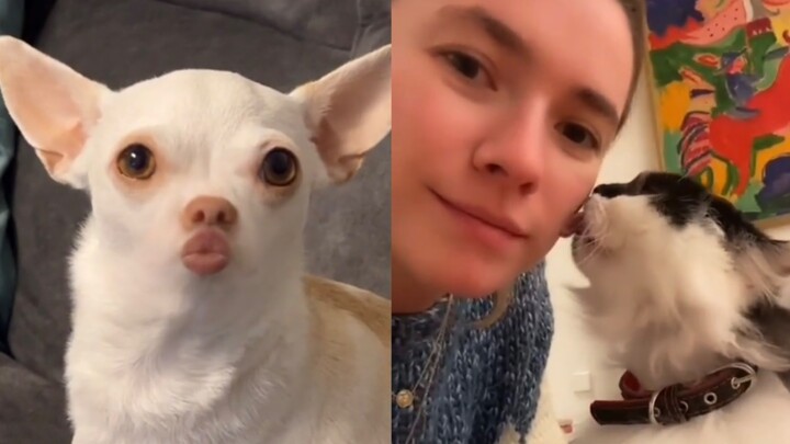 Have you ever kissed your furry kid?