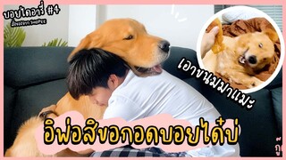 จะกอดบอยทั้งนี้ บอยต้องได้กินขนม 🤣🦴 || บอย ไดอารี่