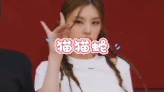 [Hwang Gyuri] Cat and Snake~ A part I really like! And the coordination afterward~ So cool!