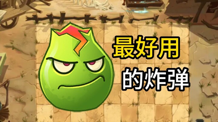 Lava Guava – the most effective bomb plant in its second generation!