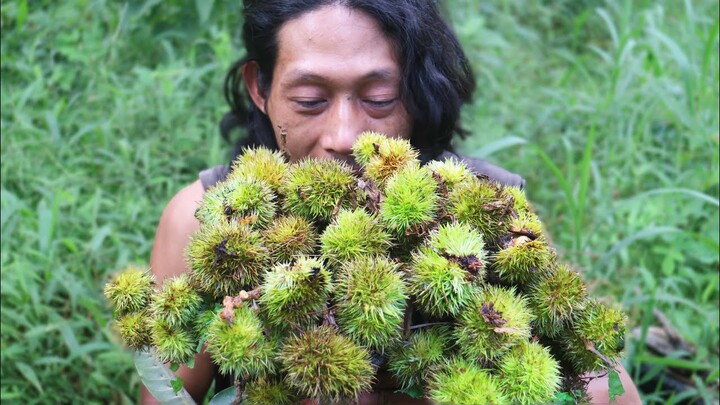 Survival Skills | Makan Biji Sarangan (Chestnut) yang gurih dan pulen. Makanan Hutan Lezat Gratis