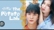 The Potato Lab Eps 6 Sub Indo