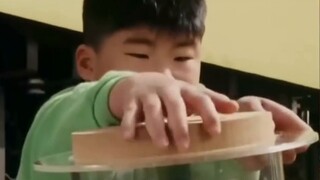 [Mata naga tertentu] Seorang anak nakal yang bisa bertarung melawan dewa binatang besar "Dinosaur Po